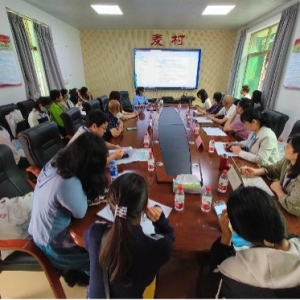 麦村品牌项目的打造专题分享会